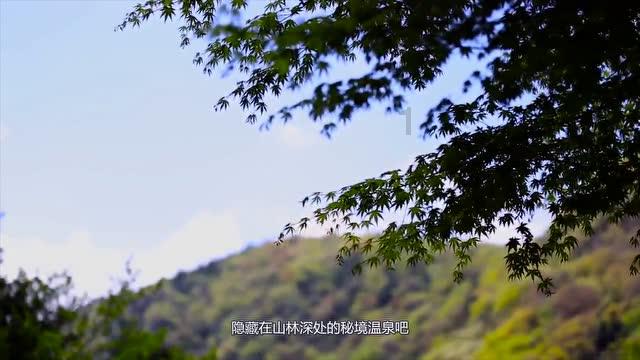 疾风之刃