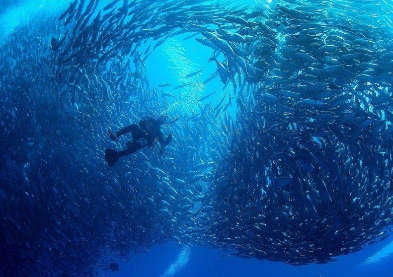 汉魂唐风的“承诺”值几分?(此人多次带节奏张小笨、童小汐)