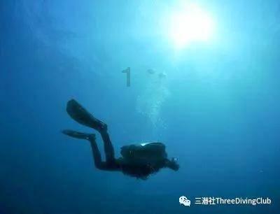 夏日网上购物