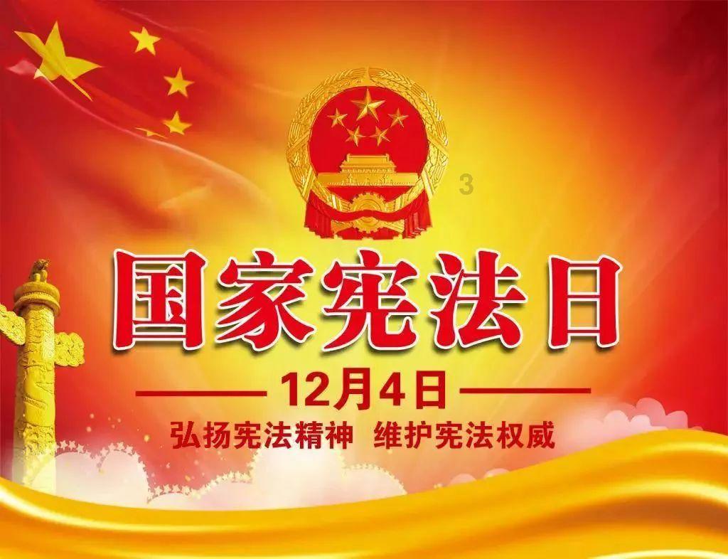 盐津“订单蔬菜”为乡村振兴添动力