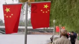 眼镜蛇秘密行动