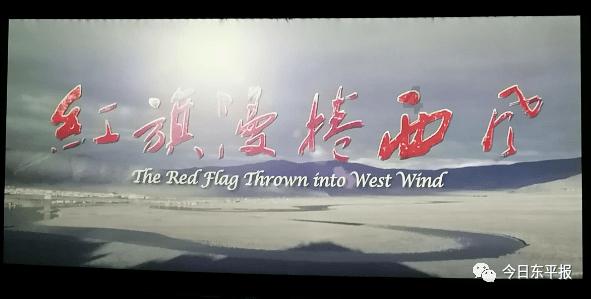 懒惰男孩逃脱