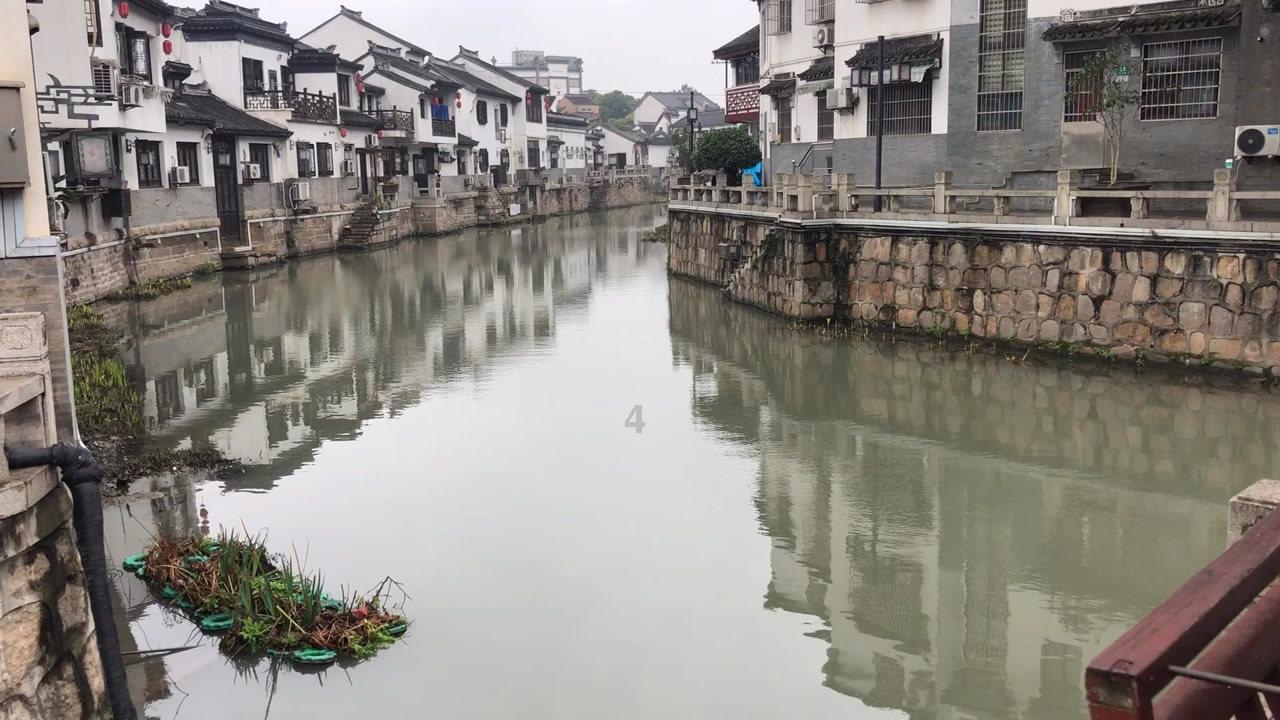 奥莉的夏威夷之旅