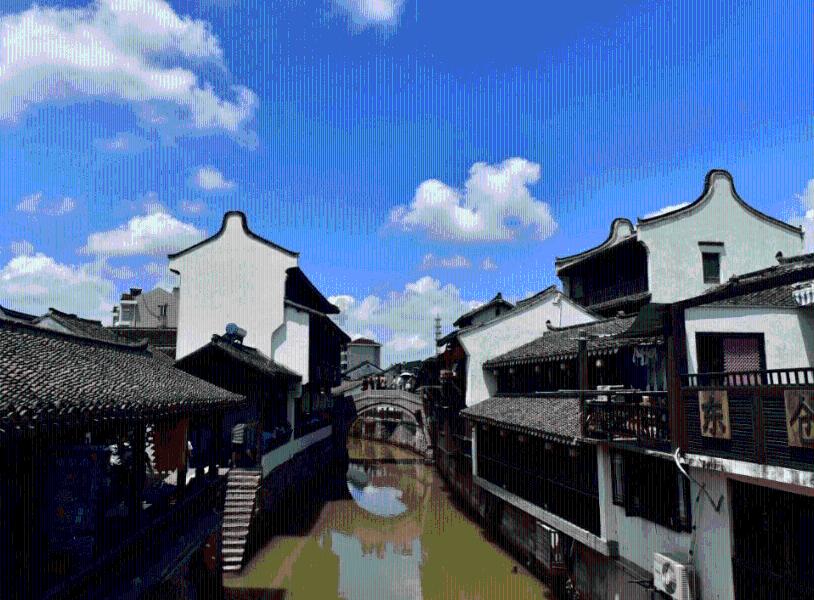 袋鼠逃生